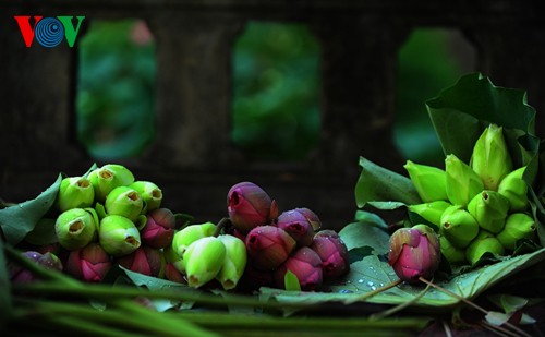 La beauté des lotus de Hue charme l’âme - ảnh 10